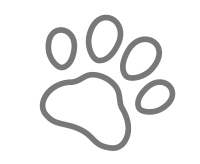 Icono mascotas